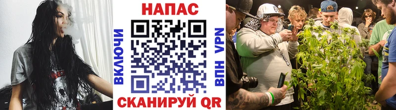 Где продают наркотики Североморск Cocaine A-PVP ГАШ