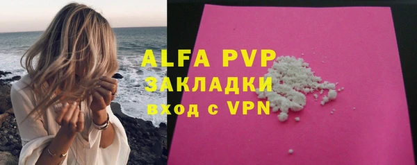 сатива Аркадак