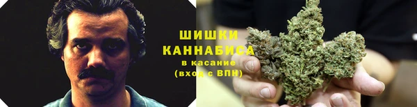 сатива Арсеньев