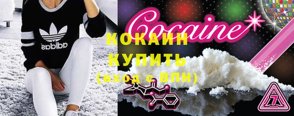 сатива Арсеньев
