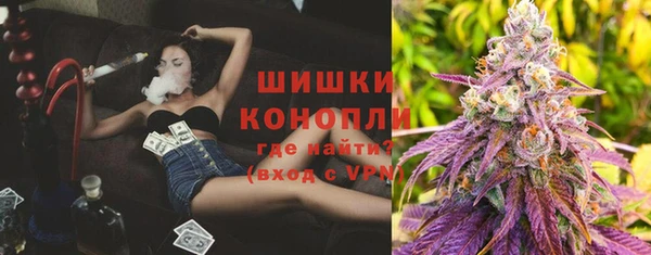 сатива Арсеньев