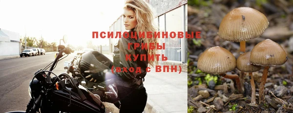 каннабис Армянск