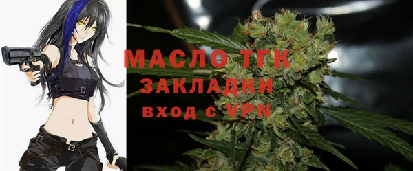 сатива Аркадак