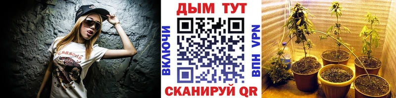 Бошки Шишки AK-47  мега вход  Североморск 
